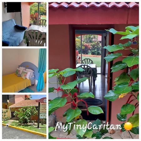 My Tiny Caritan- Petit Coin De Paradis- Bungalow De Vacances- Jardin, Plage, Piscine Attenante サンタンヌ エクステリア 写真