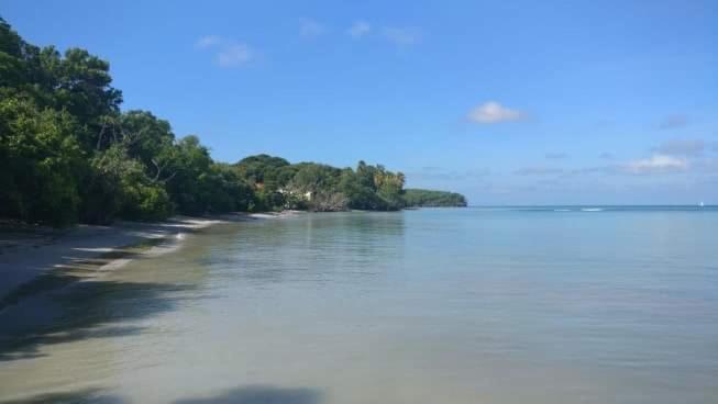 My Tiny Caritan- Petit Coin De Paradis- Bungalow De Vacances- Jardin, Plage, Piscine Attenante サンタンヌ エクステリア 写真